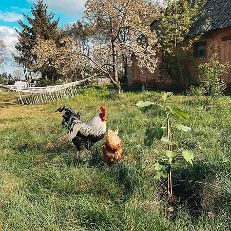 Lehrerwohnung Wusterhausen
