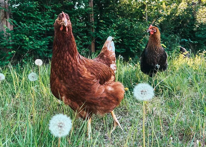 アパート Lehrerwohnung