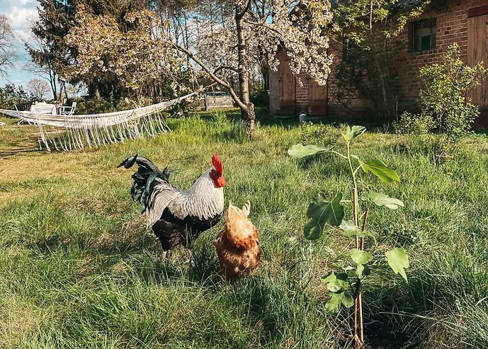 Lehrerwohnung Wusterhausen